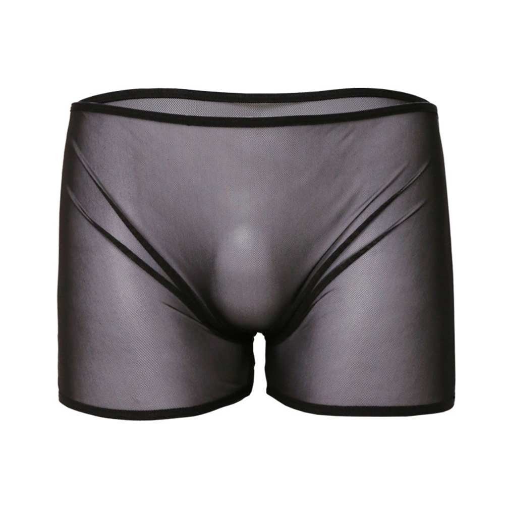 Pouch Boxer Pouch - Sexy Men's Mesh See-Through Briefs Sheer