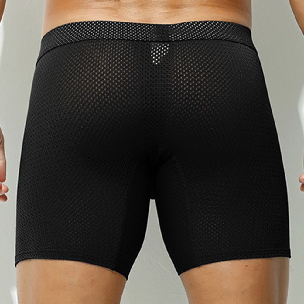 Sexy Lingerie Mens Mesh Underw - مراجعة Long Leg Trunk Men وسعره
