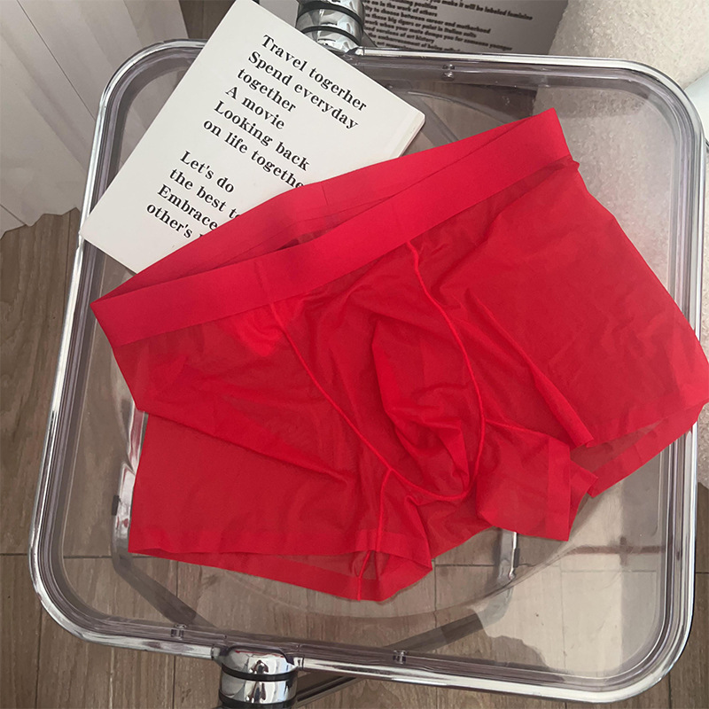 Sexy Men Boxy Underwear Seamle - مراجعة Quick Dry Underwear وسعره