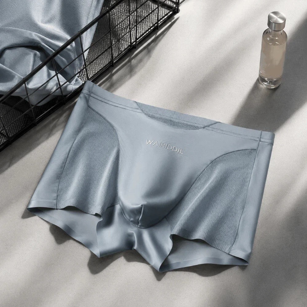 Simple Mesh Ice Silk Underwear - مراجعة Mesh Sport Boxer وسعره