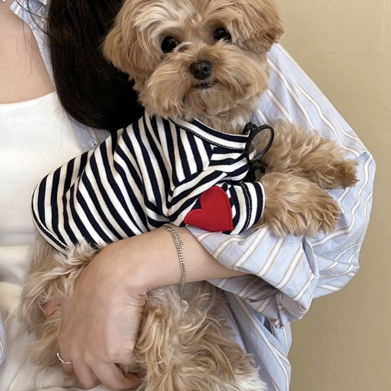 Dog Vest for Small Dogs Pet Do - مراجعة Sleeveless Undershirt وسعره
