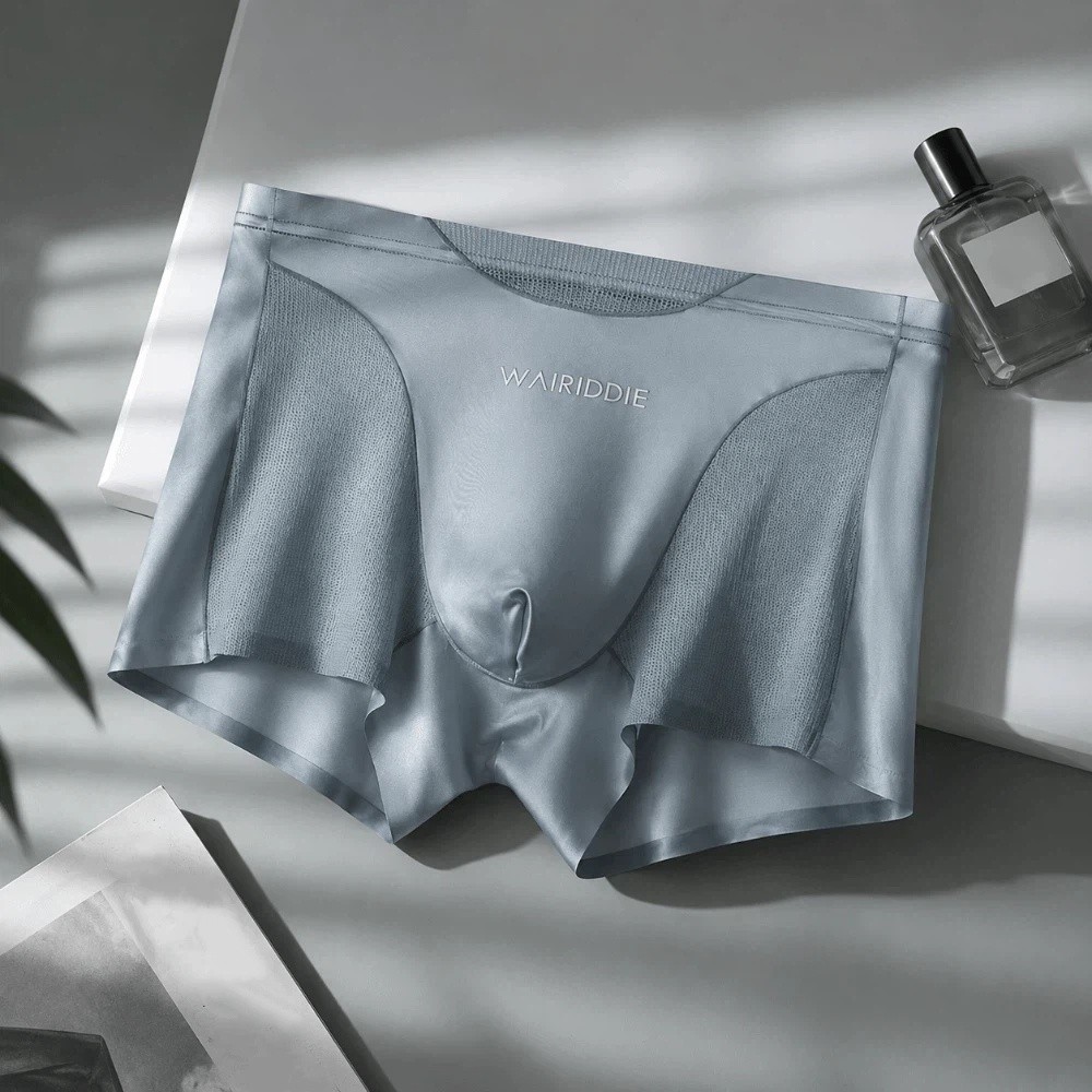Simple Mesh Ice Silk Underwear - مراجعة Mesh Sport Boxer وسعره